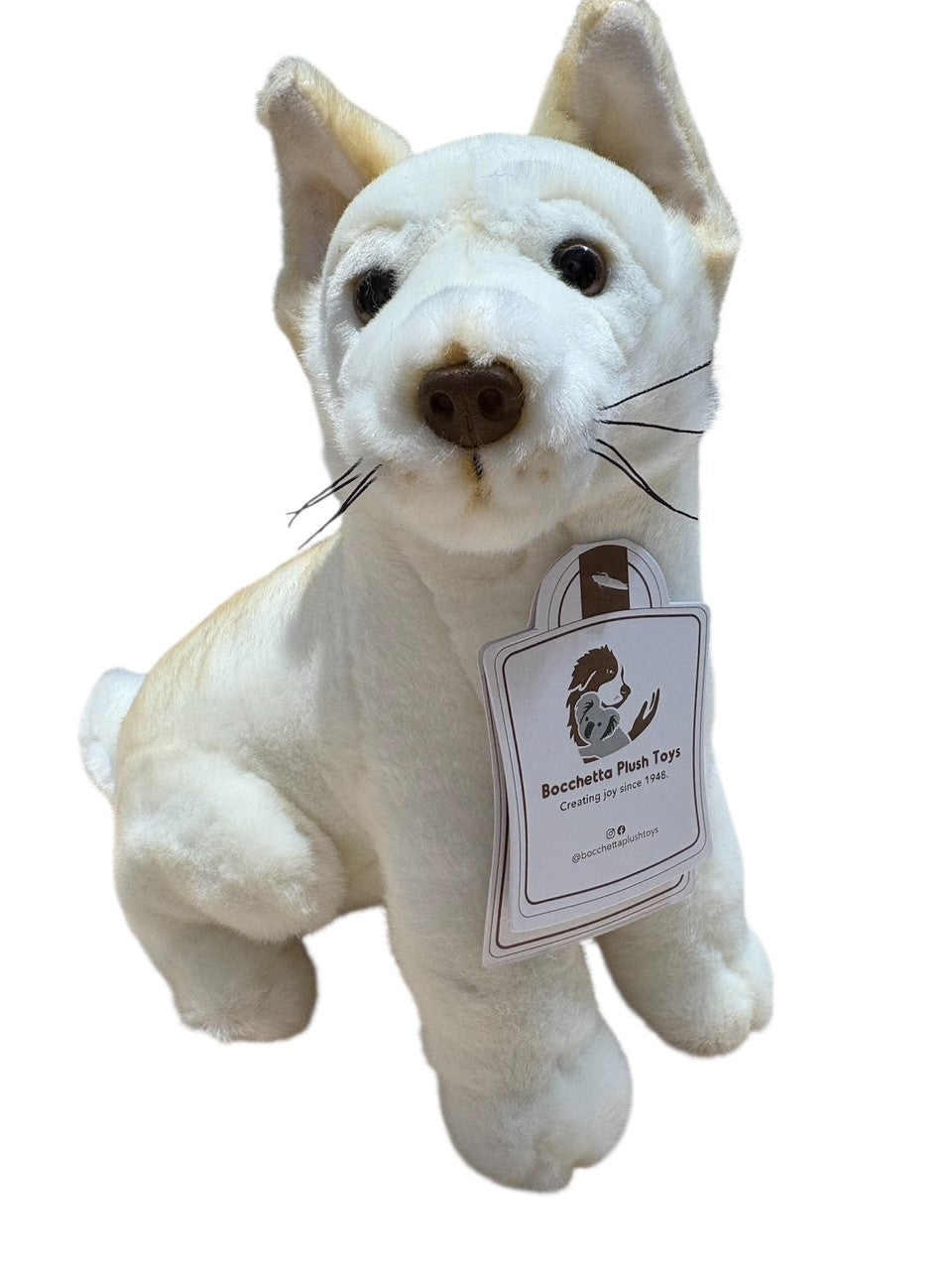 Ivory - Dingo - 25cm sitting, white