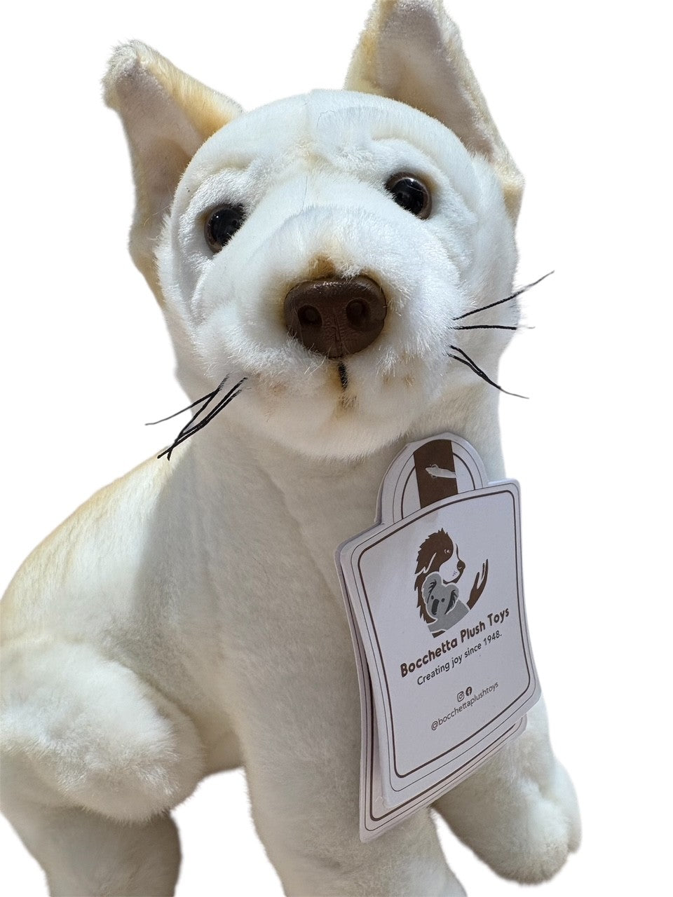 Ivory - Dingo - 25cm sitting, white