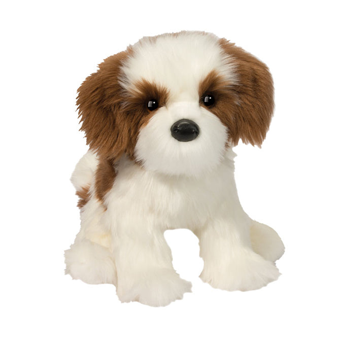 Farren Shih Tzu by Douglas