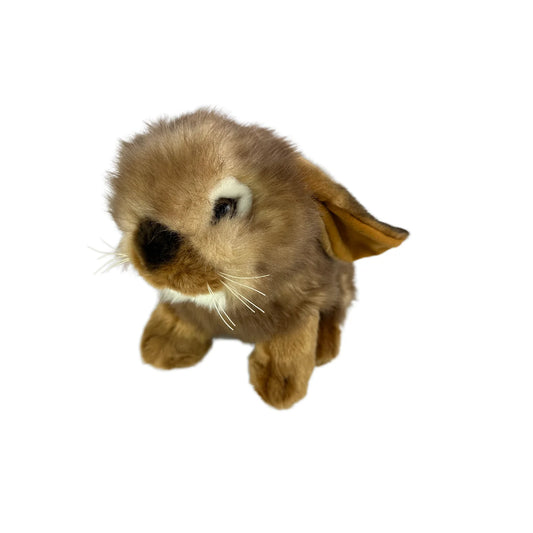 Cinnamon (Lop Eared Rabbit - 25cm sitting)