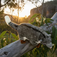 Cody - Ringtail Possum - 23cm