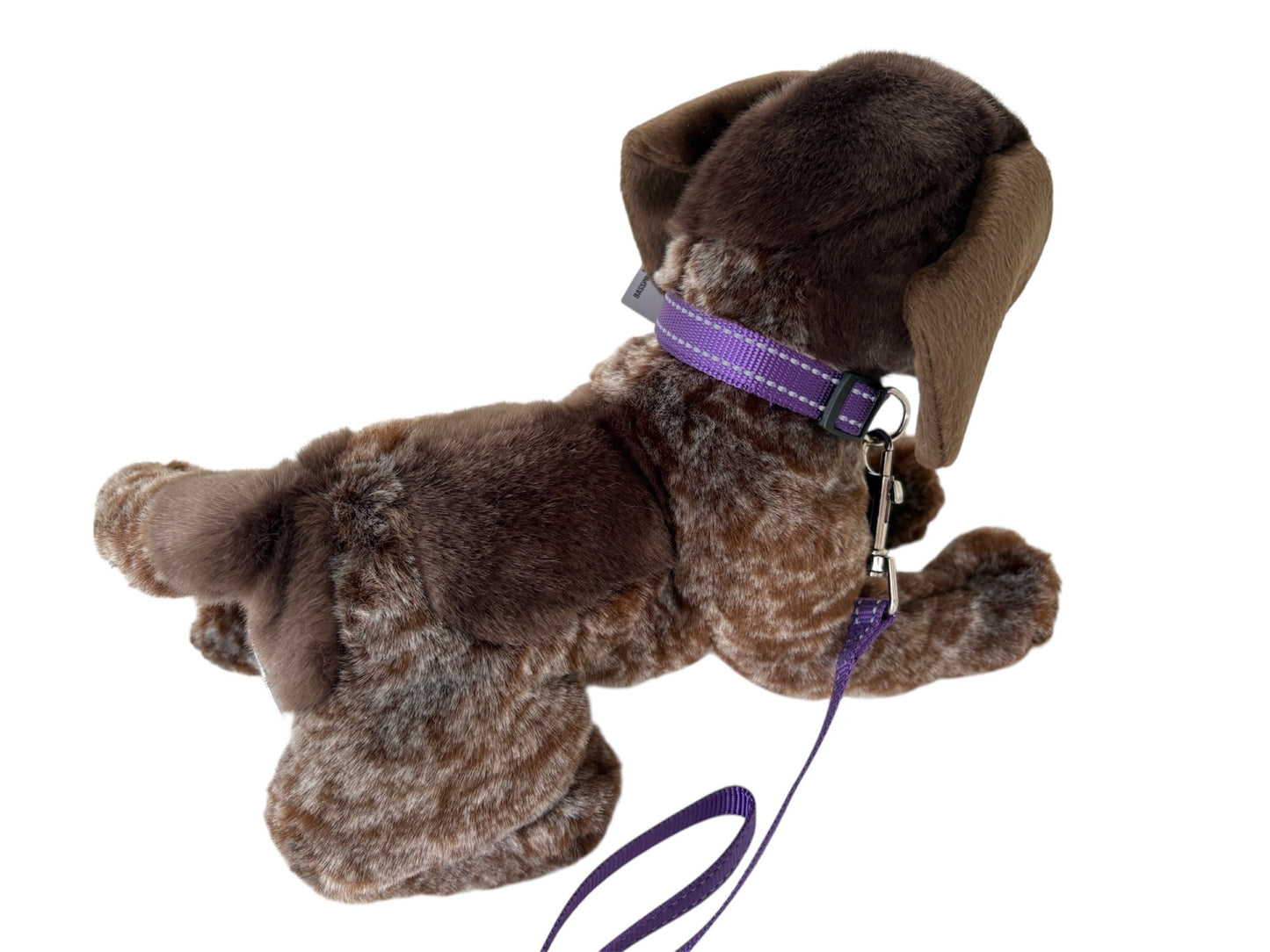Collar and lead set (2 pce) - many colours