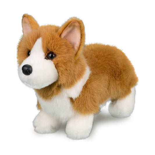 Louie Corgi by Douglas