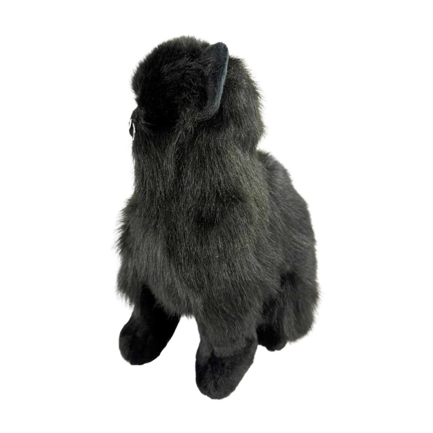 Crystal - Black Cat - 34cm sitting