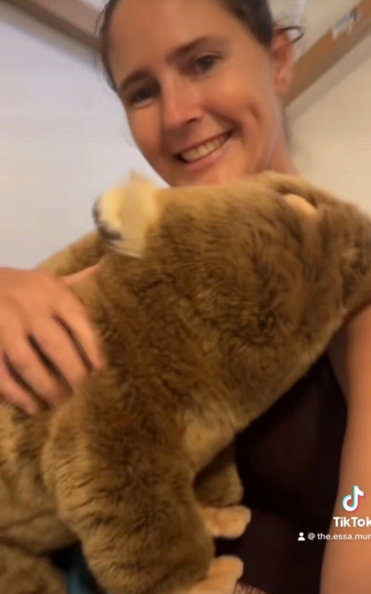 Wallis - Wombat With Satin Pocket (55cm)