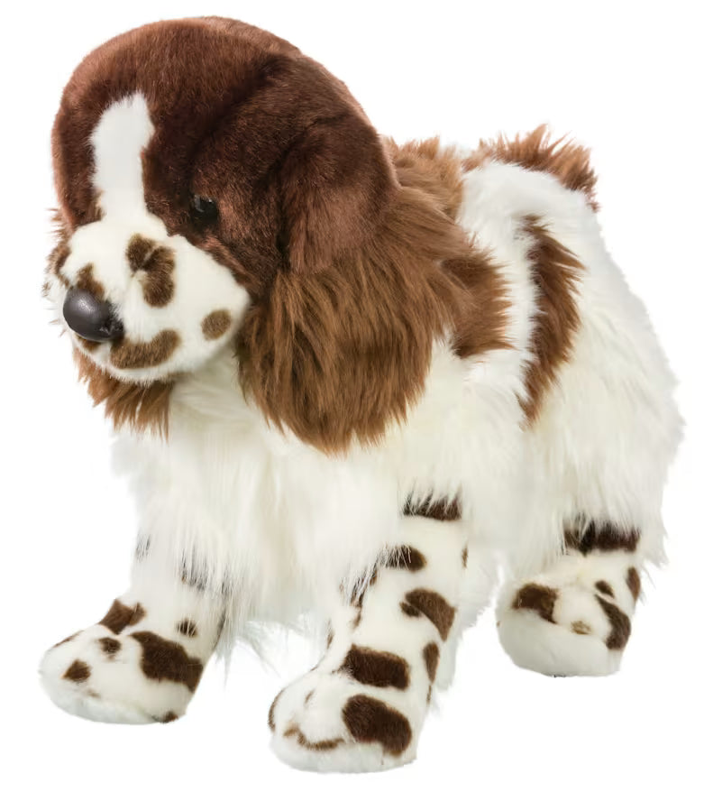 Springer Spaniel by Bass Pro