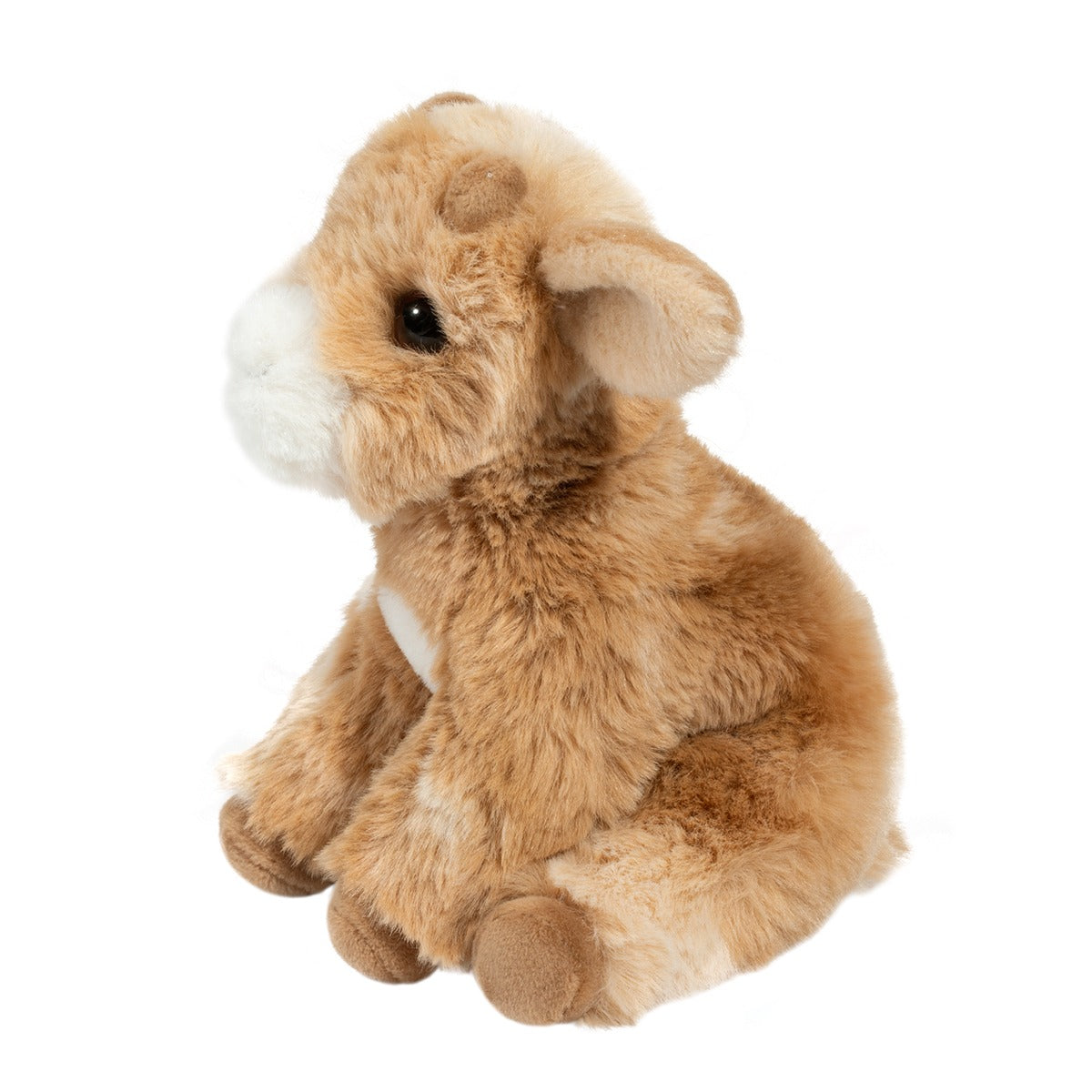 Mini Dandie Soft Goat by Douglas ESSA