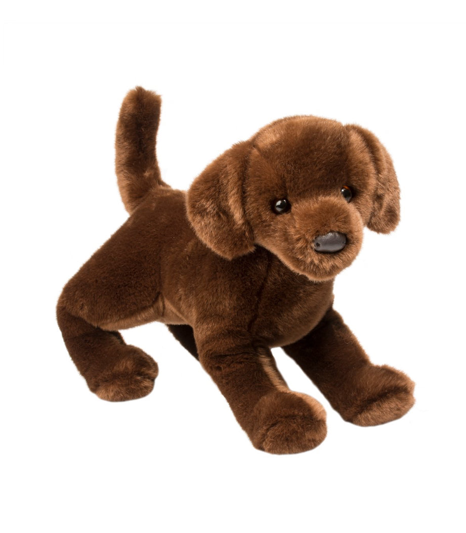 Cocoa Chocolate Lab by Douglas