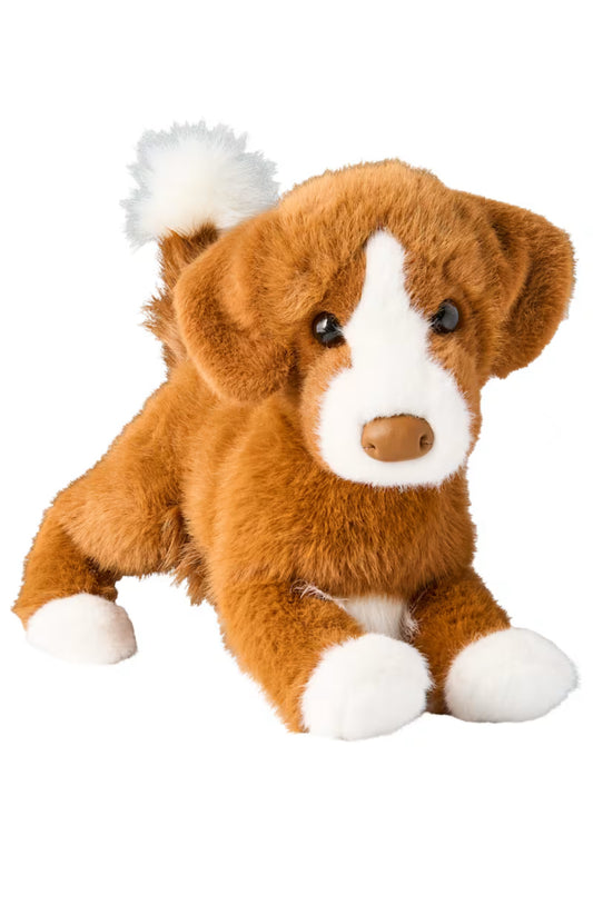 Duck Tolling Retriever (standing) by Bass Pro