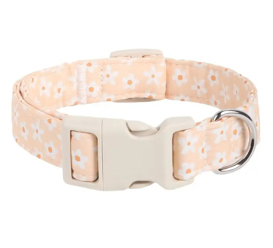 Themed collars