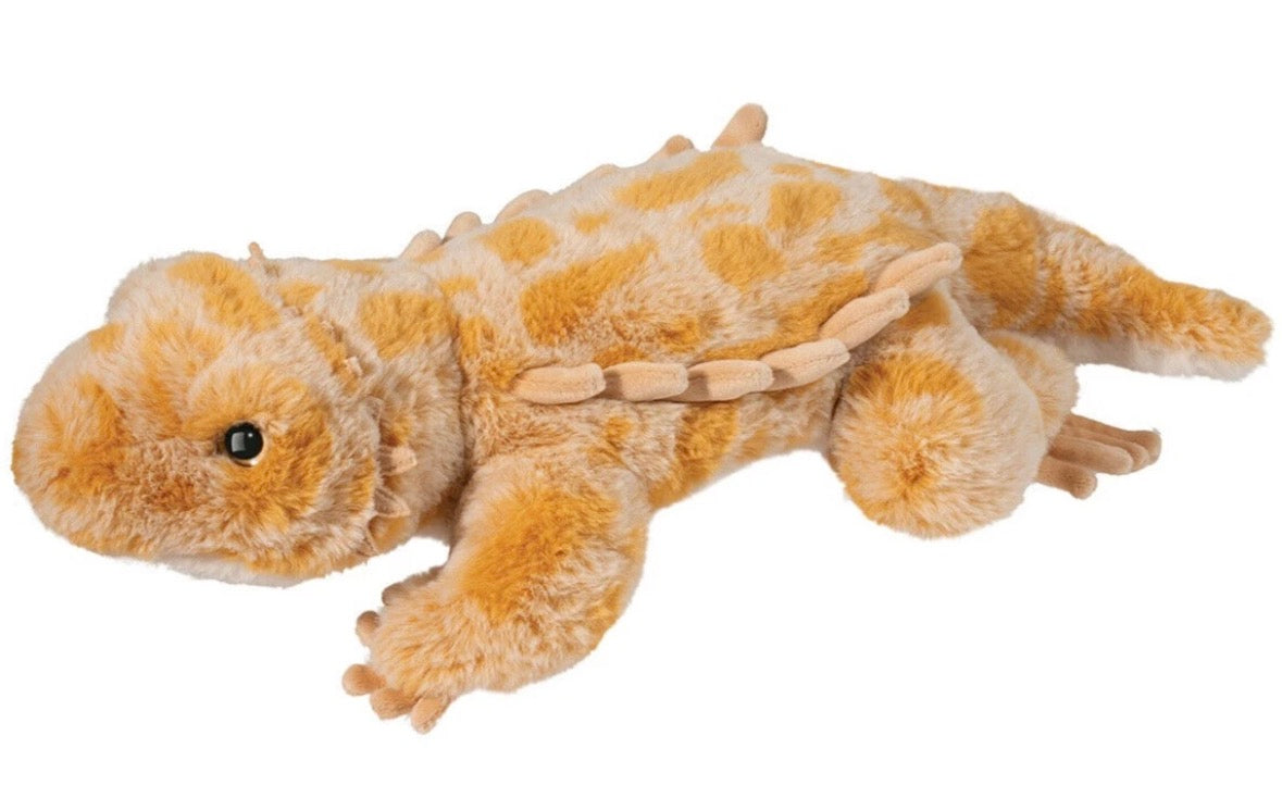 Boogie Bearded Dragon by Douglas ESSA