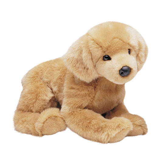 Honey Golden Retriever by Douglas