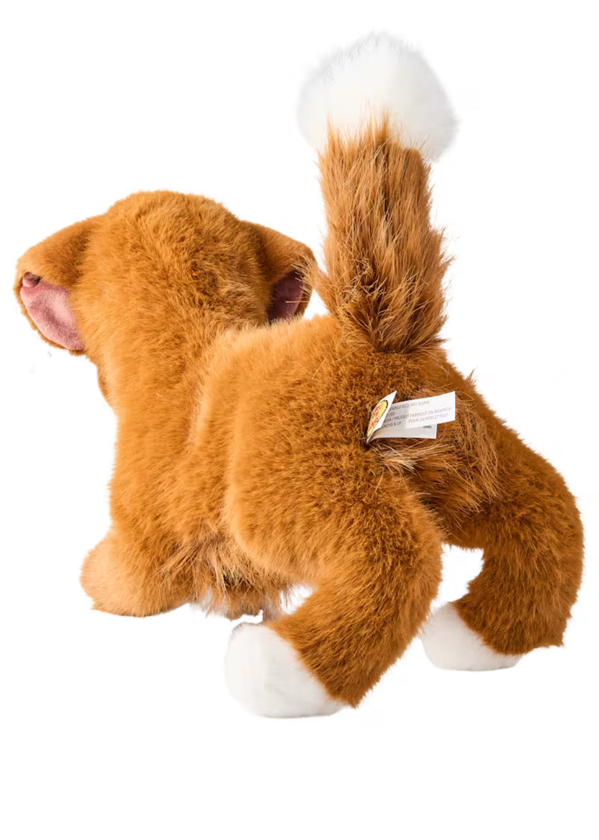 Duck Tolling Retriever (standing) by Bass Pro - arrives 10 October