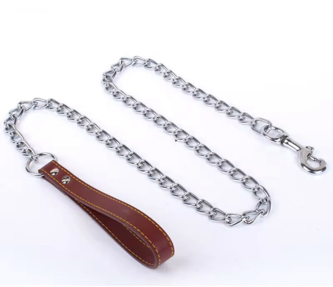 Dog leash - metal chain