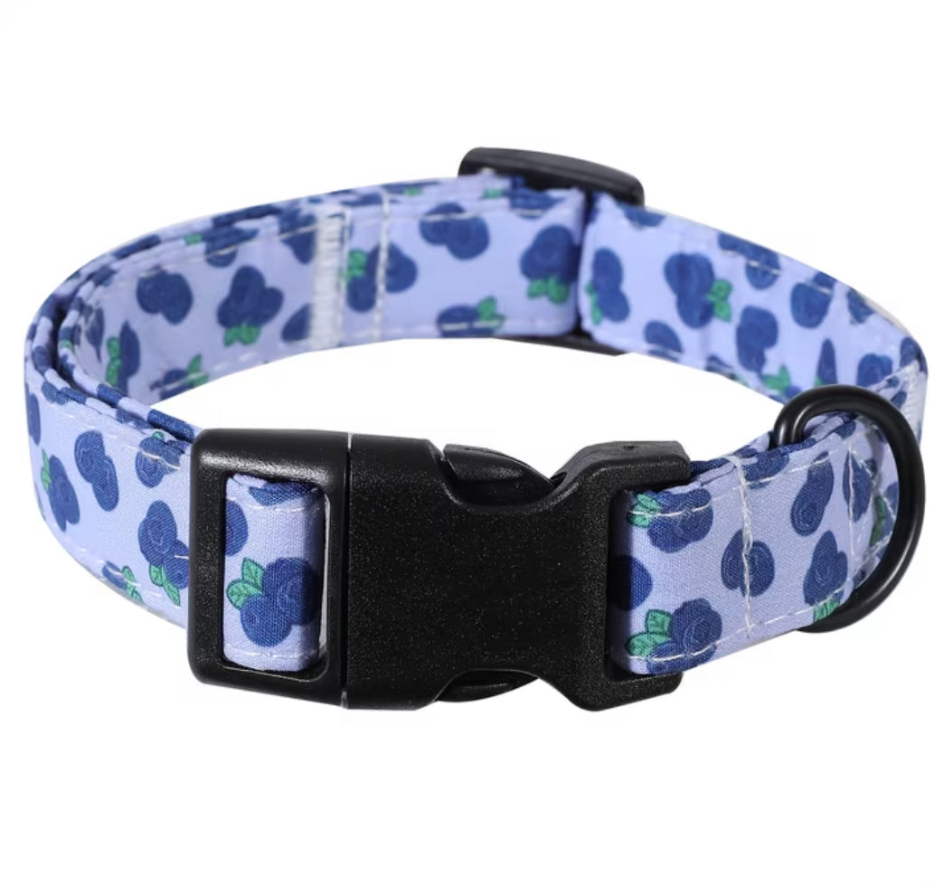 Themed collars