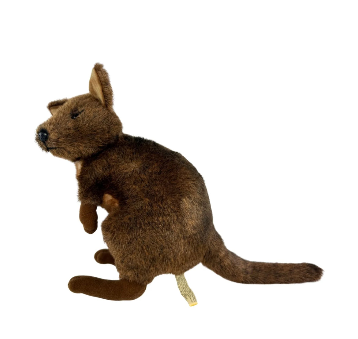Dusky - Pademelon - 27cm