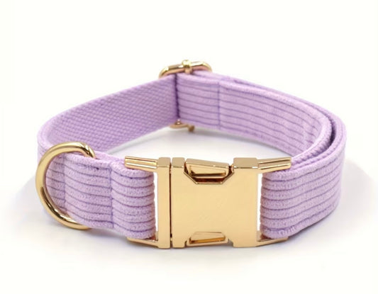 Corduroy Collars and leads