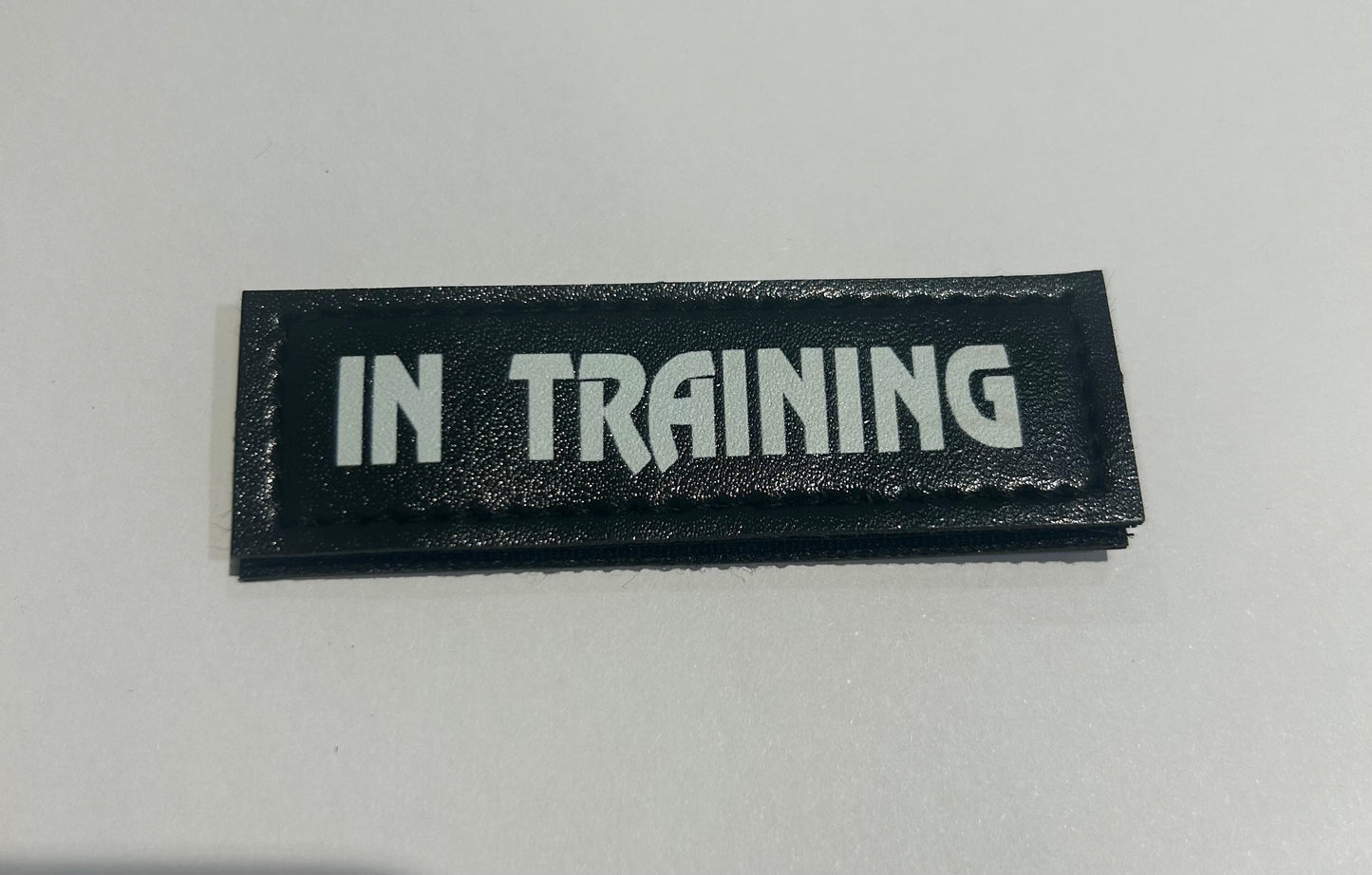 Patches (printed) (2 pieces)