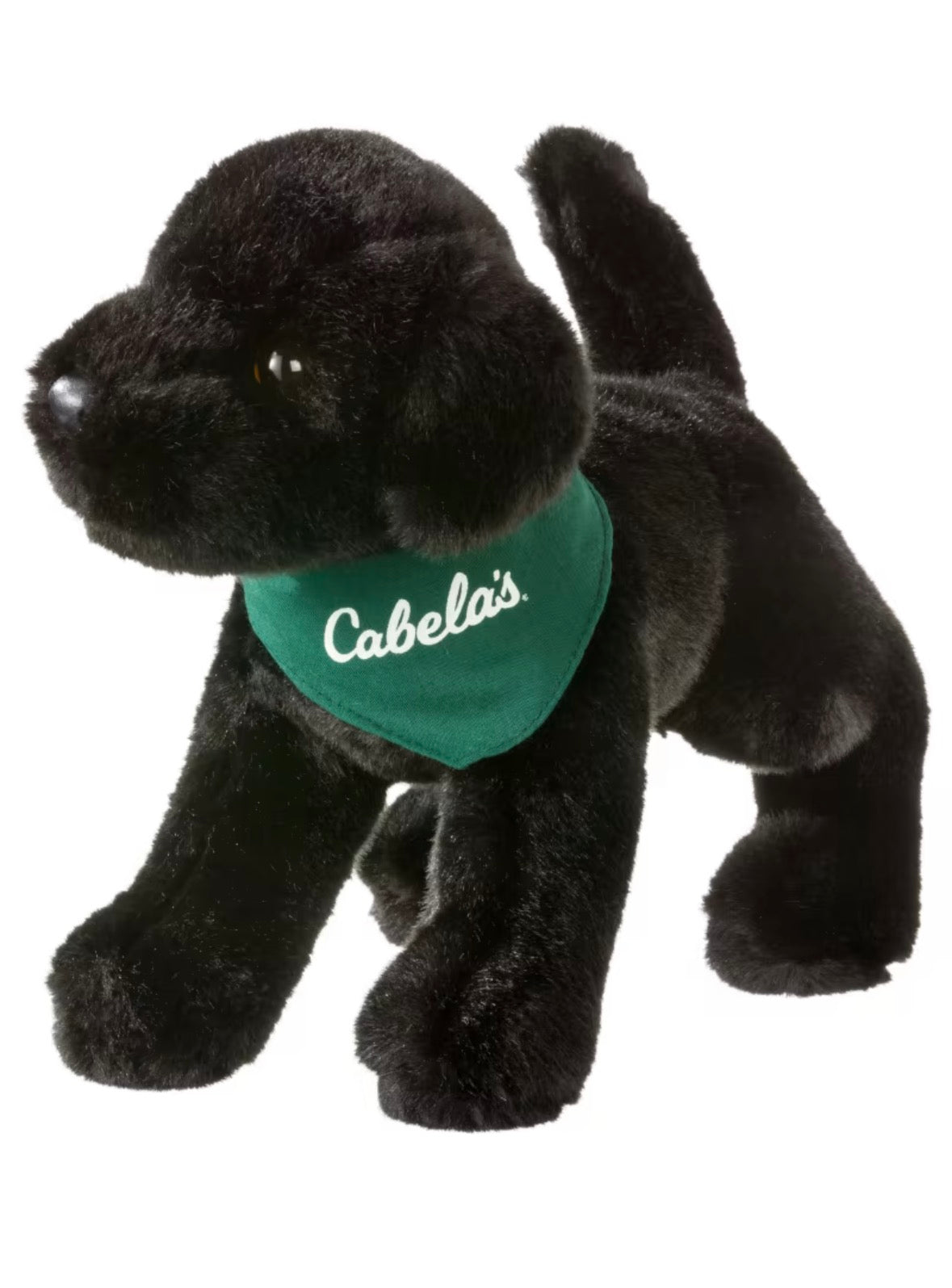 Black Lab by Bass Pro