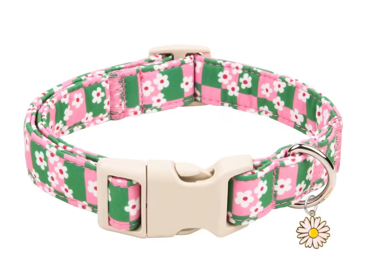 Themed collars
