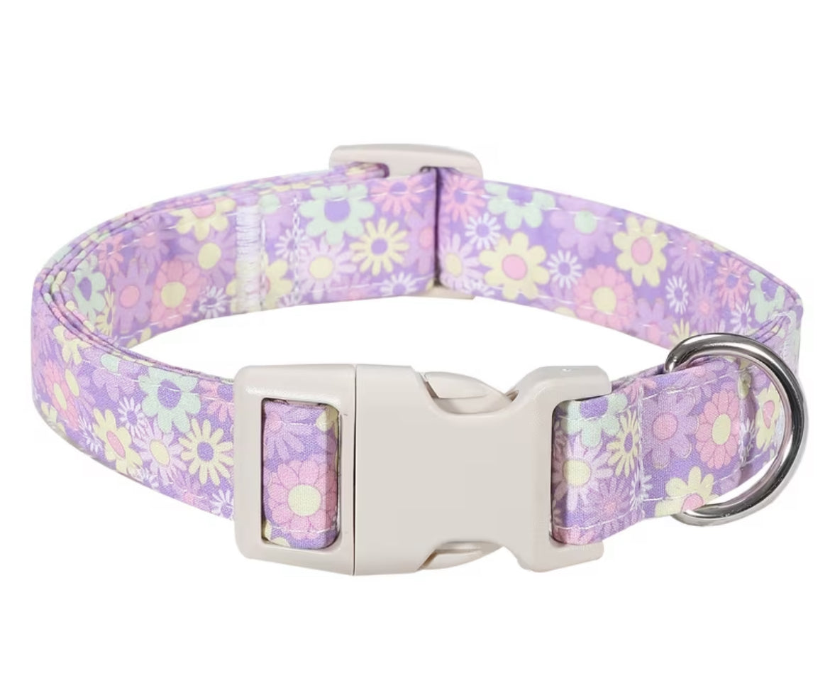 Themed collars