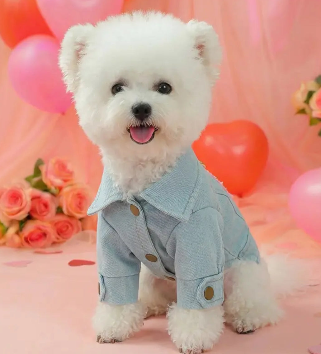 Denim Jacket with hearts