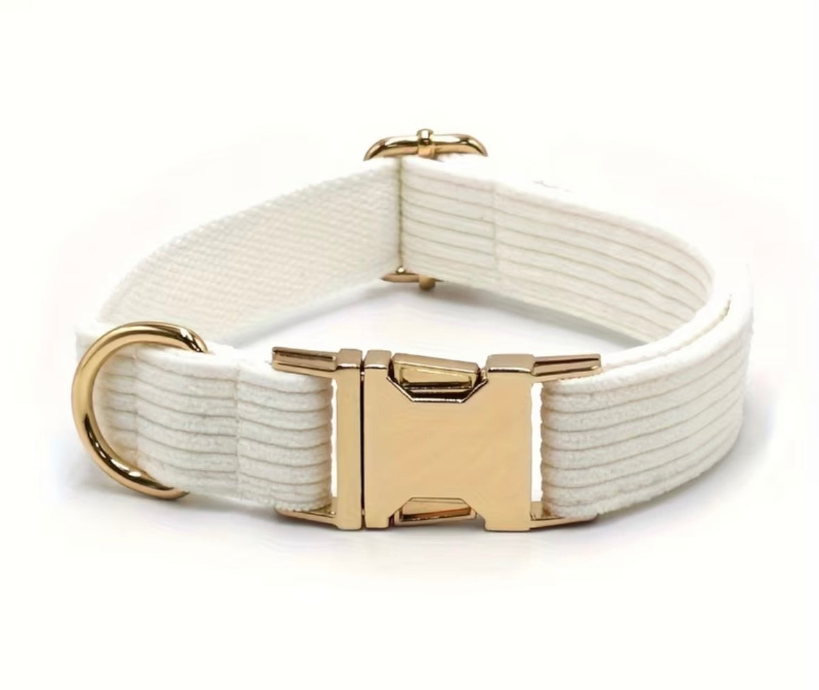 Corduroy Collars and leads