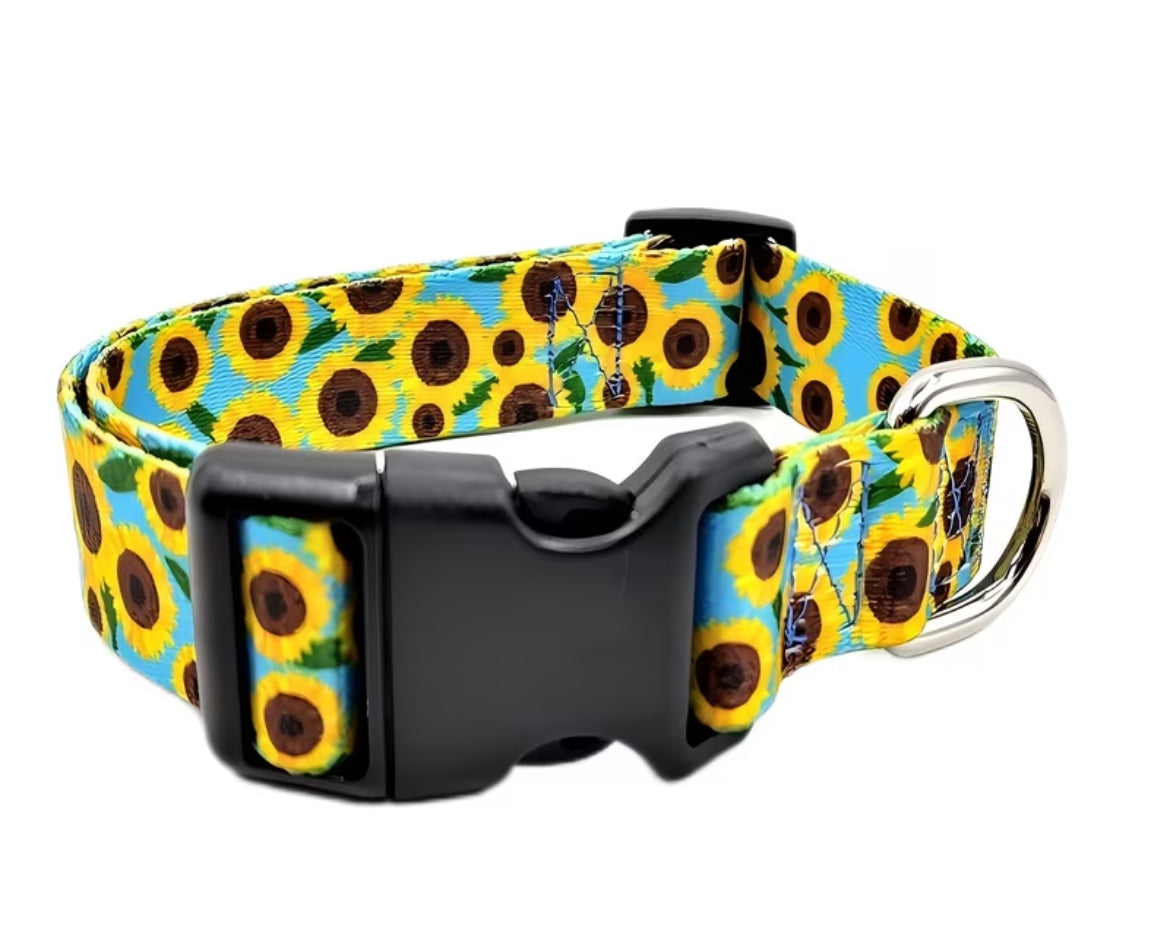 Themed collars