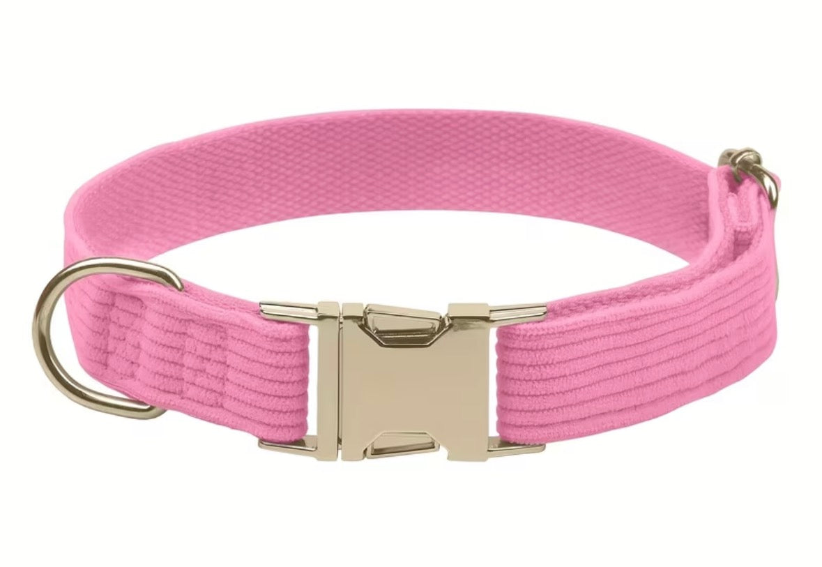 Corduroy Collars and leads
