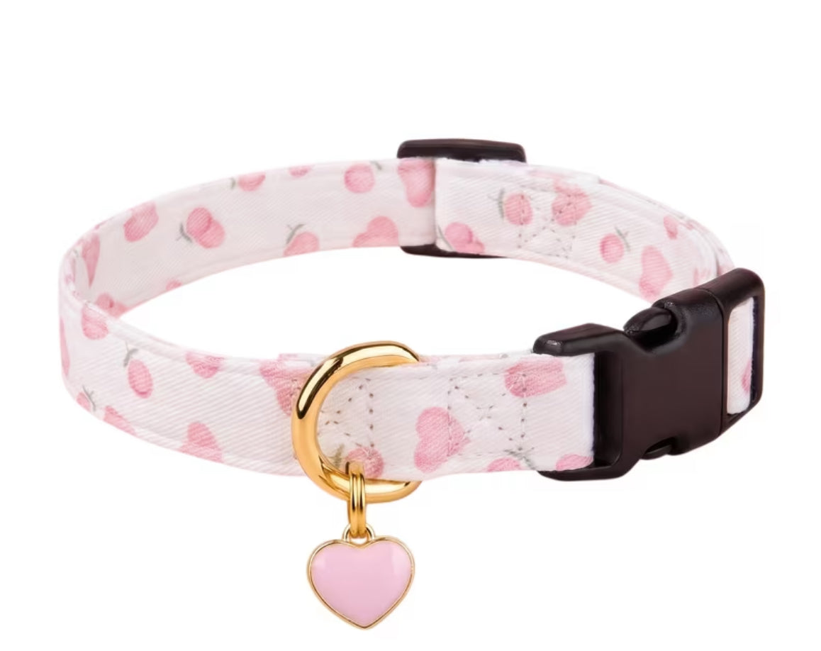Themed collars