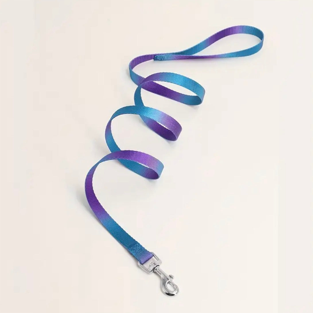 Lead / leash (multicoloured)