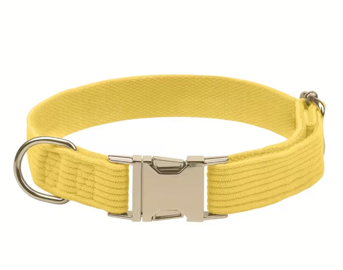 Corduroy Collars and leads