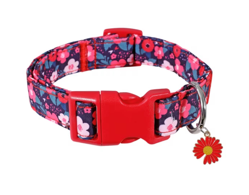 Themed collars