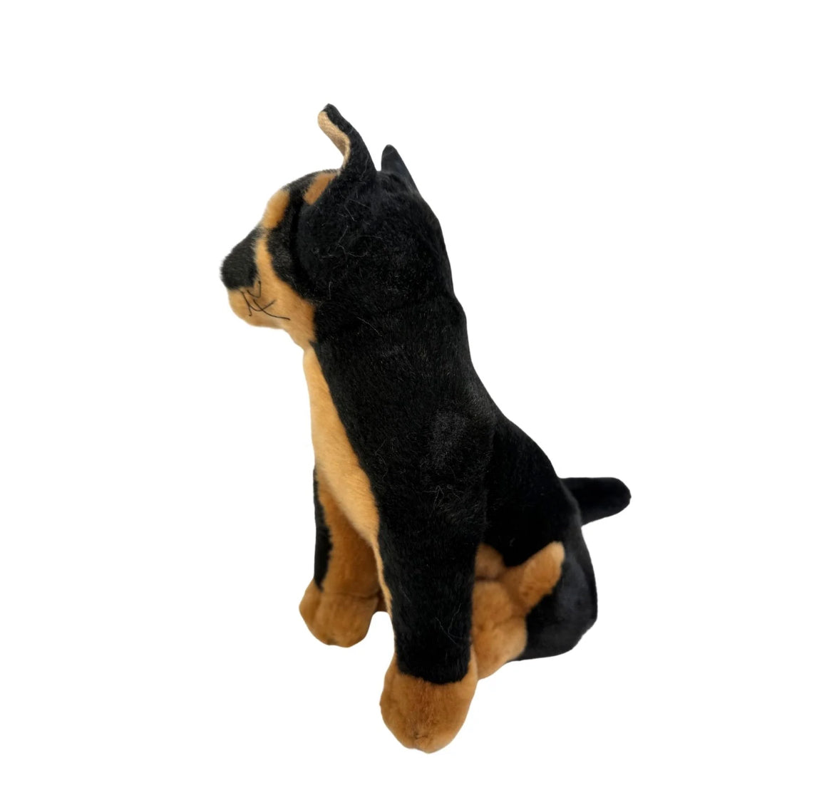 Zorro Dingo - (21cm Sitting, Black)