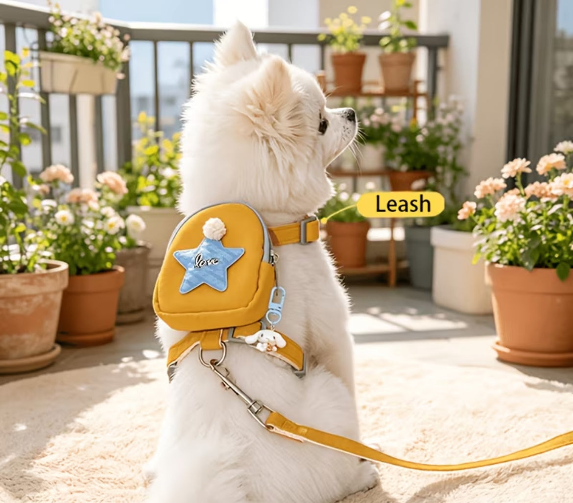 ESSA Backpack