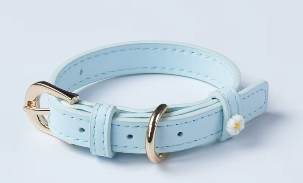 Themed collars