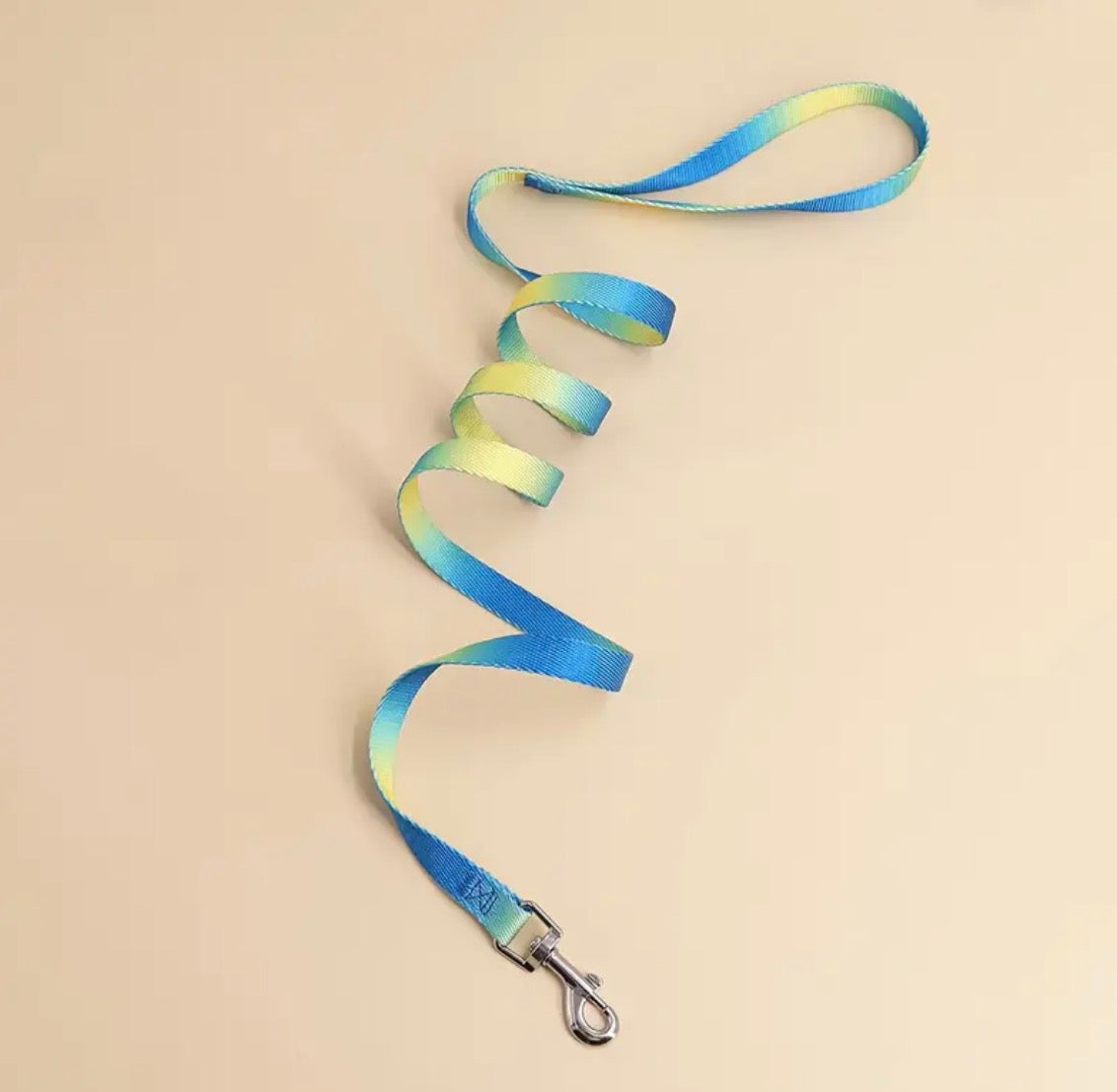 Lead / leash (multicoloured)