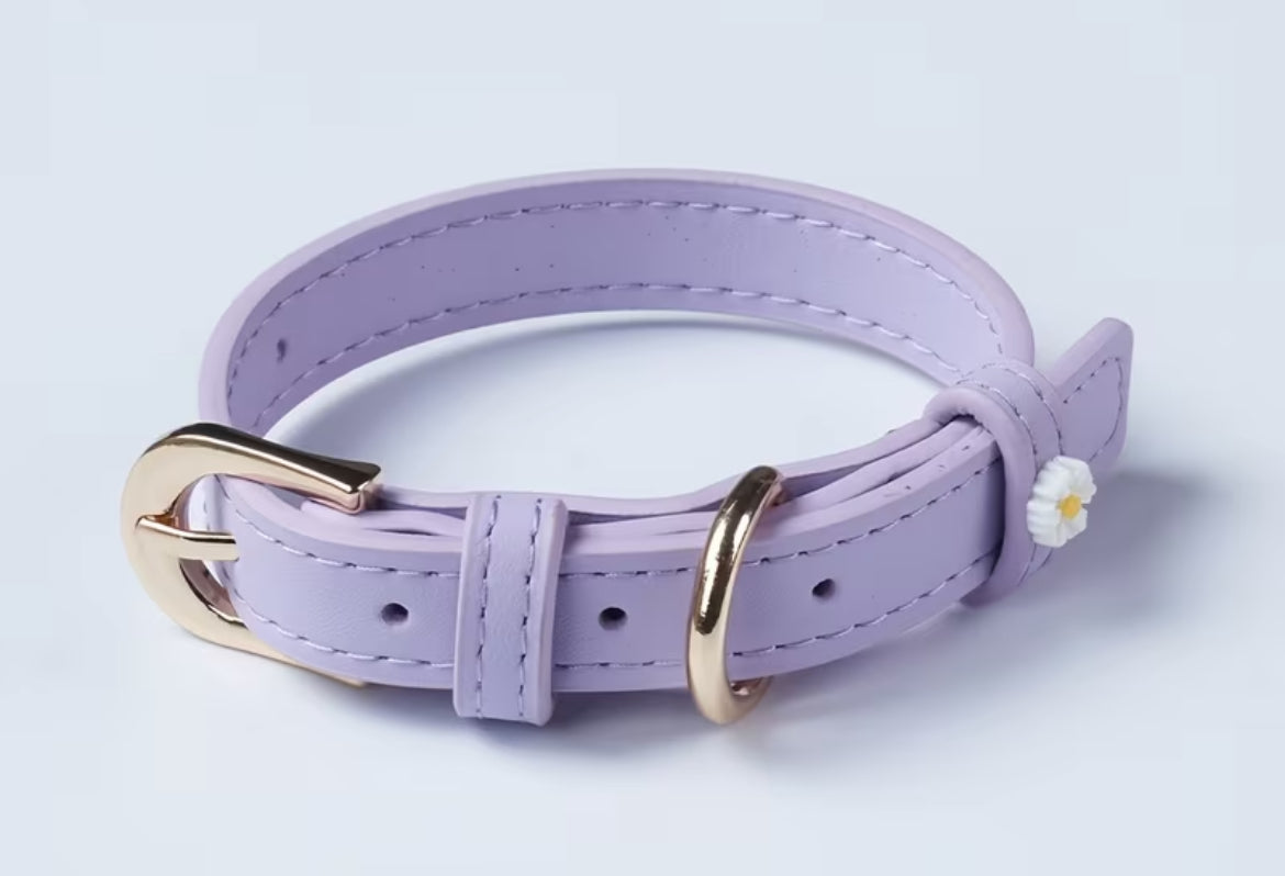 Themed collars