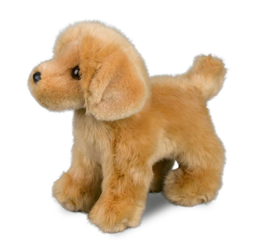 Chap Golden Retriever by Douglas