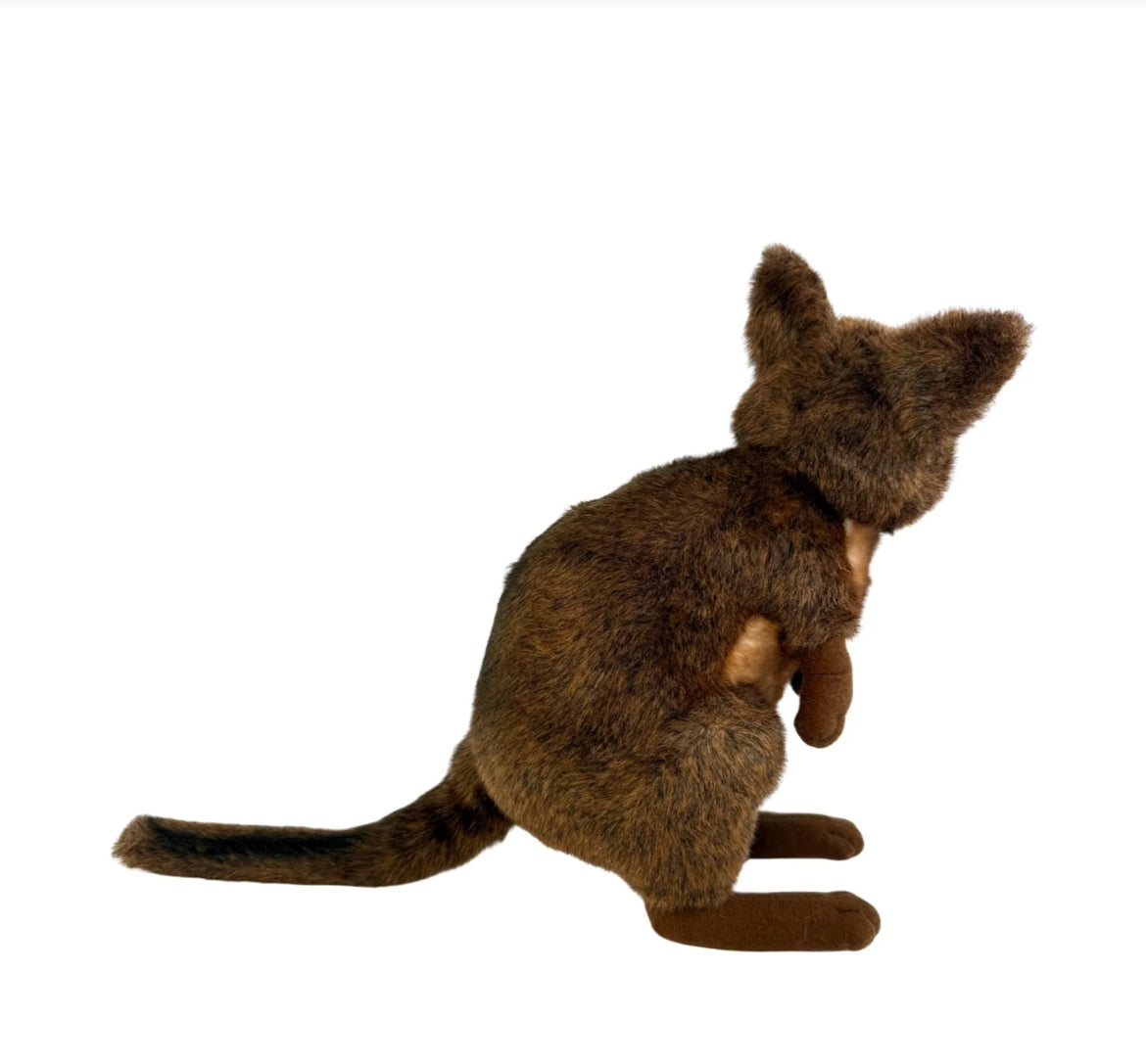 Dusky - Pademelon - 27cm