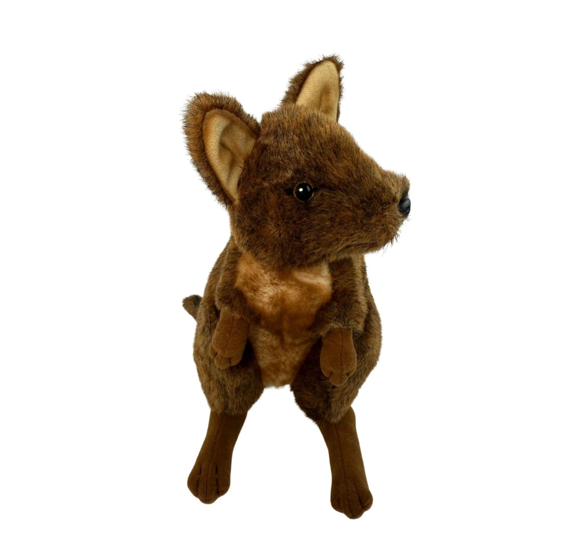 Dusky - Pademelon - 27cm
