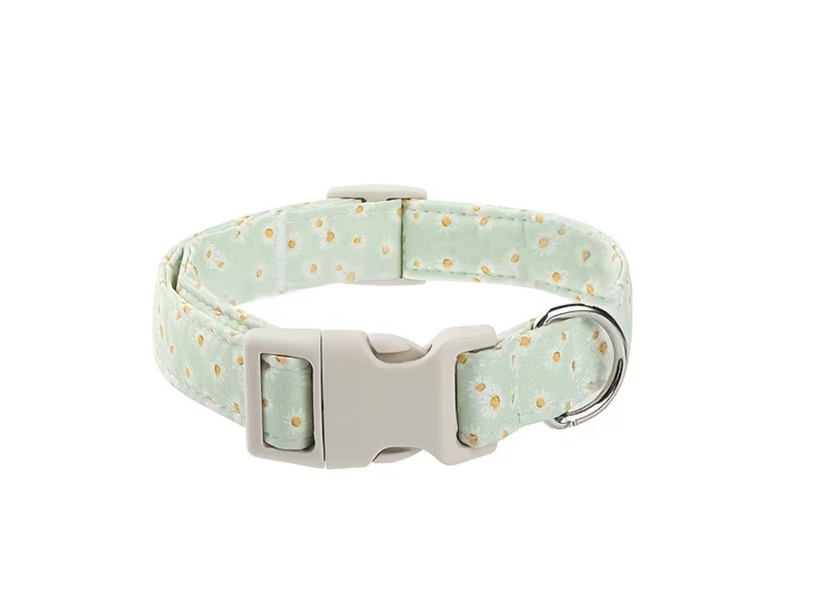 Themed collars