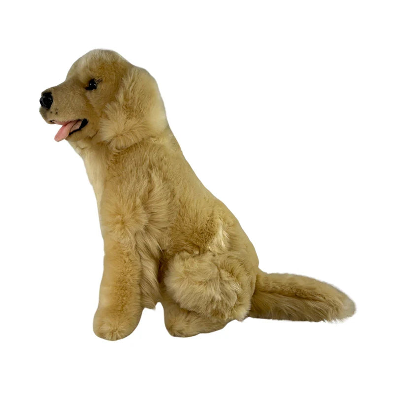 Goldie - Golden Retriever - 35cm sitting