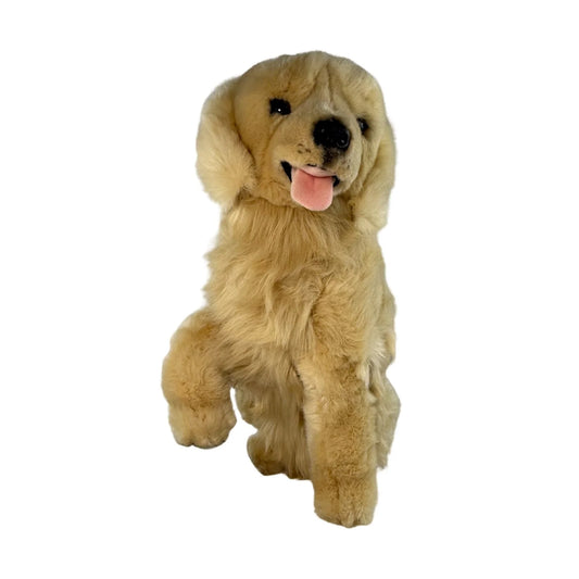 Goldie - Golden Retriever - 35cm sitting