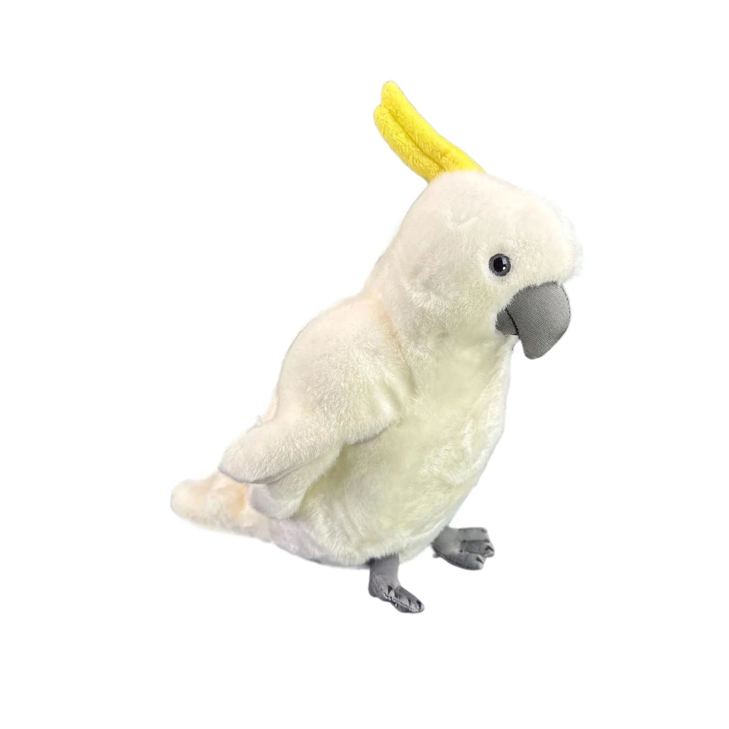 Hector (Cockatoo - 25cm)