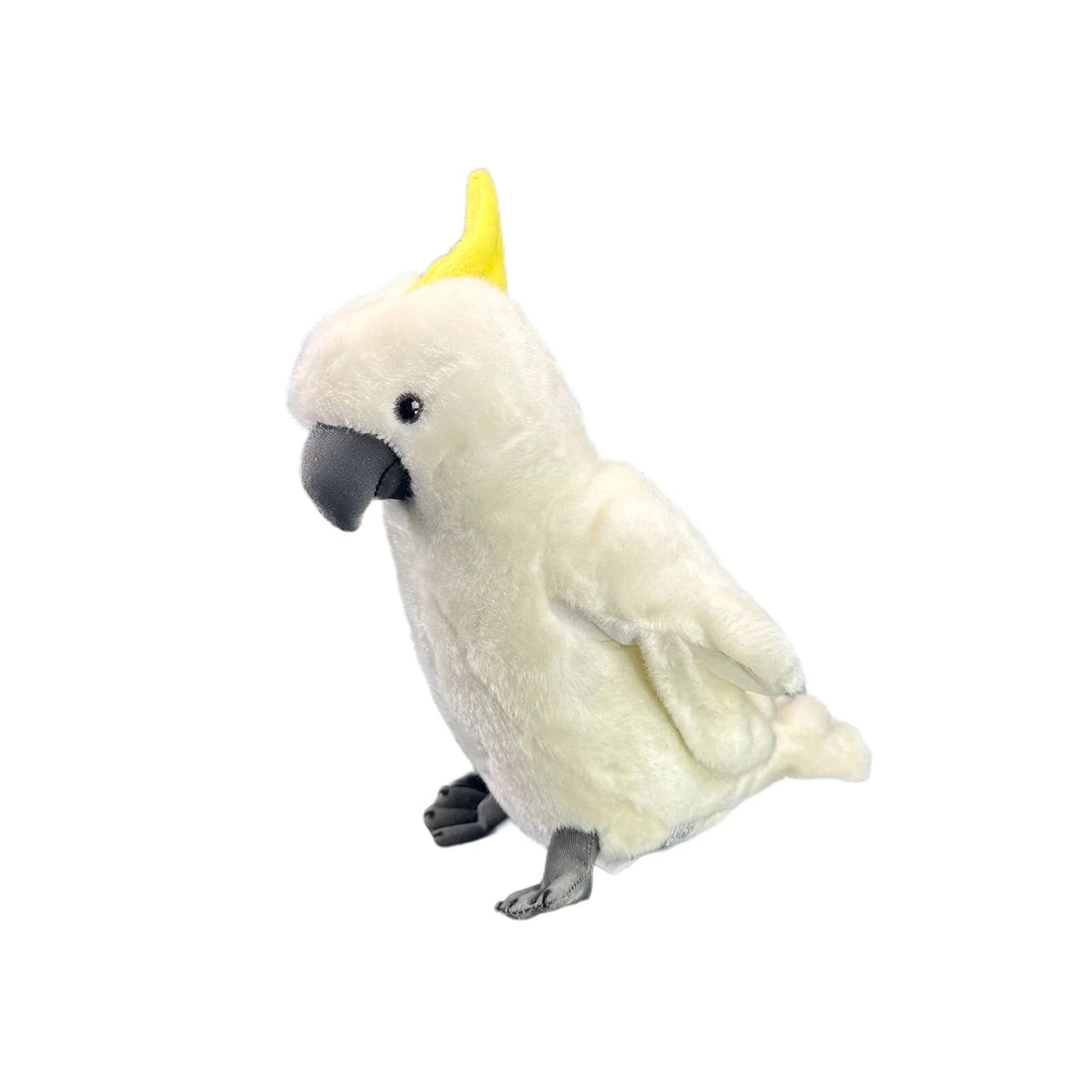 Hector (Cockatoo - 25cm)