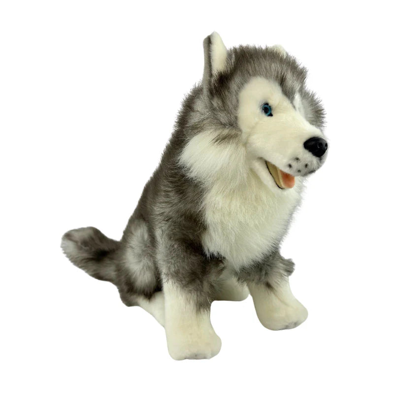 Brock - Husky - 35cm sitting