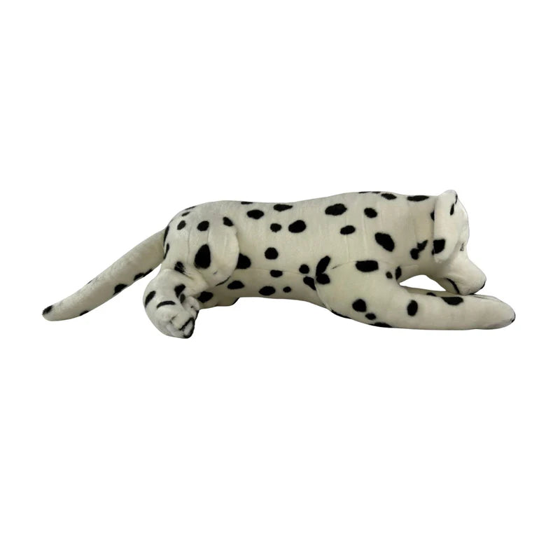 Denzel - Dalmatian - 62cm lying