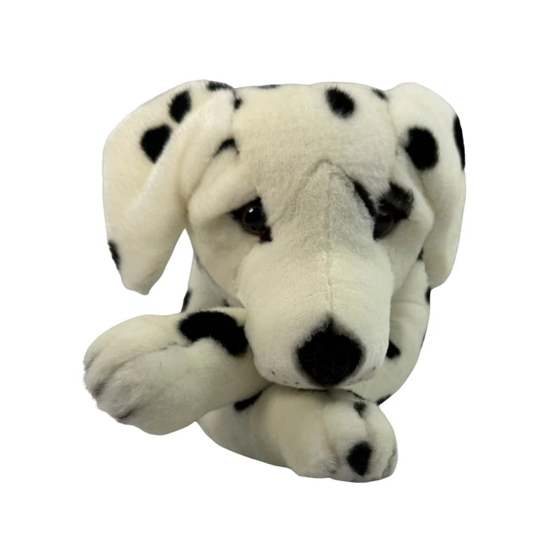 Denzel - Dalmatian - 62cm lying