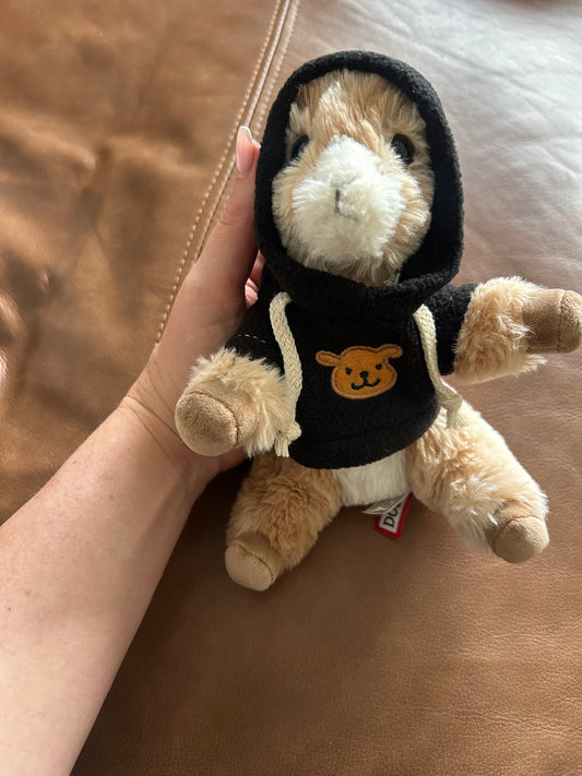 Hoodie for Mini’s